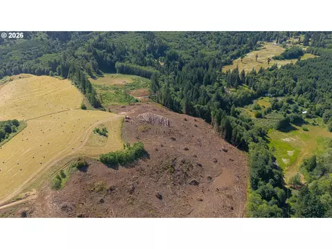 Gregory Rd, Rainier, OR 97048 photo 3