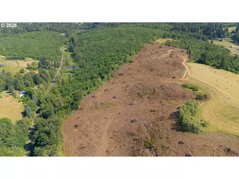 Gregory Rd, Rainier, OR 97048 photo 9