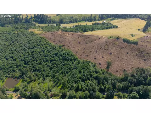 Gregory Rd, Rainier, OR 97048 photo 7