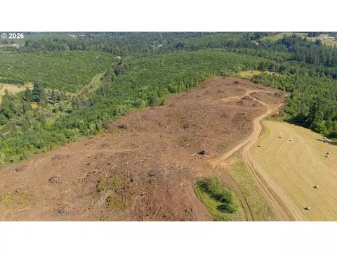 Gregory Rd, Rainier, OR 97048 photo 8
