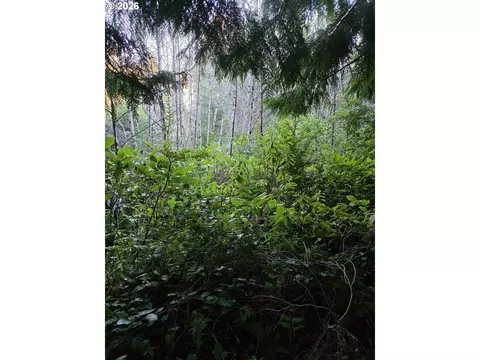 0 NE Washington, Yachats, OR 97498