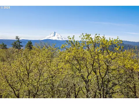 1075 Morgensen Rd, Mosier, OR 97040