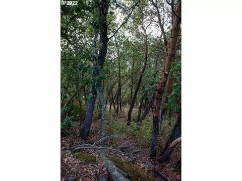 0 North Ct, Riddle, OR 97469 photo 2