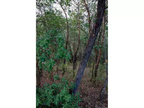 0 North Ct, Riddle, OR 97469 photo 3