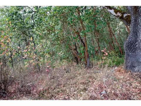 0 North Ct, Riddle, OR 97469 photo 4