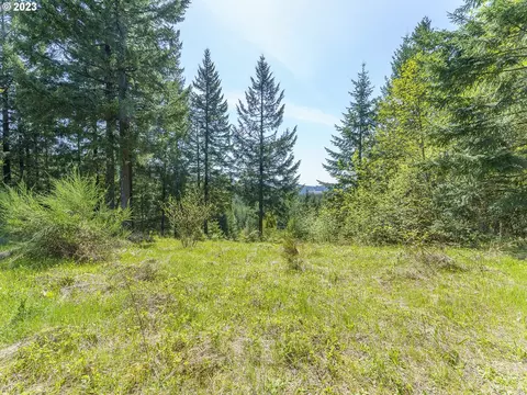 25308 NW Mountain Dr, Banks, OR 97106