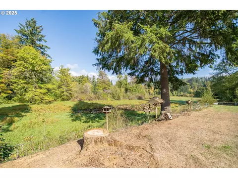 0002317 E Dogwood Dr, Lyons, OR 97358 photo 5