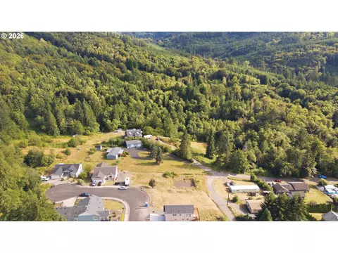 0 Richards Dr, Rainier, OR 97048 photo 4