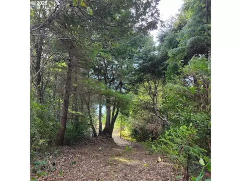 China Mt. Rd, Port Orford, OR 97465
