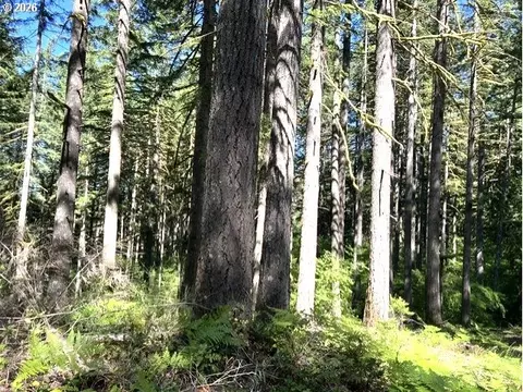 Tunnel Tract Parcel3, Banks, OR 97106