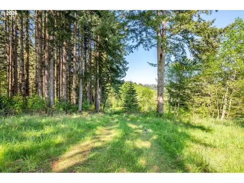 26977 Hammond Rd, Rainier, OR 97048 photo 22