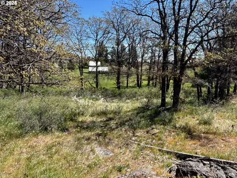 2 Lots On Pine St, Bickleton, WA 99322 photo 9