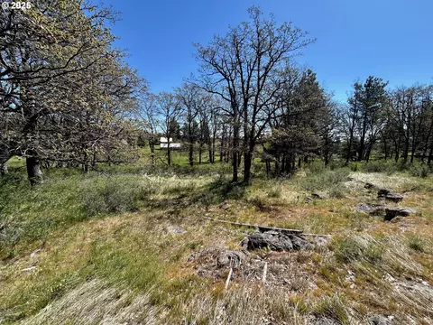 2 Lots On Pine St, Bickleton, WA 99322 photo 7