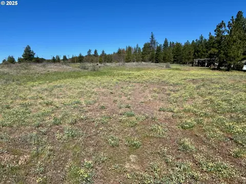 2 Lots On Pine St, Bickleton, WA 99322 photo 5