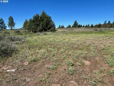 2 Lots On Pine St, Bickleton, WA 99322 photo 2