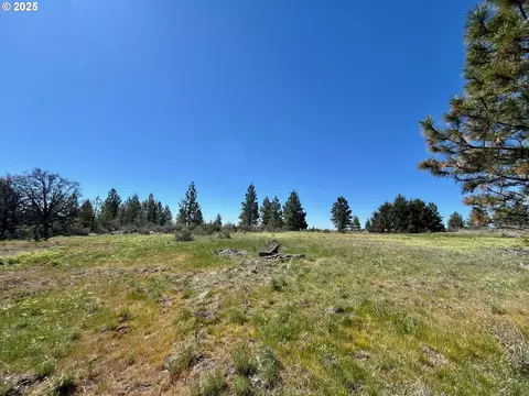 2 Lots On Pine St, Bickleton, WA 99322