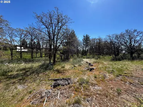 2 Lots On Pine St, Bickleton, WA 99322 photo 8