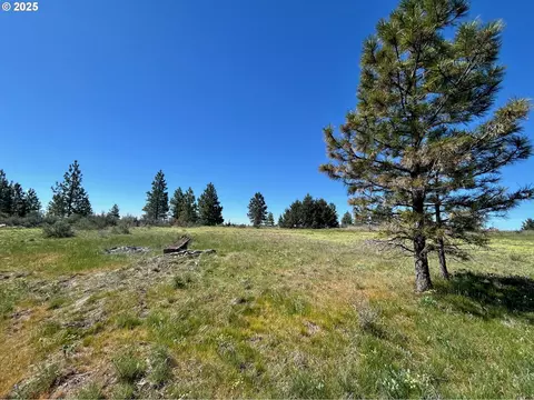 2 Lots On Pine St, Bickleton, WA 99322 photo 6