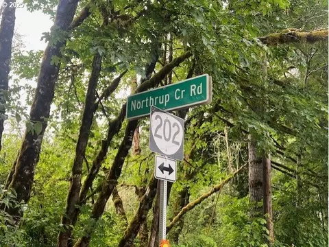 Northrup Creek Rd, Birkenfeld, OR 97016