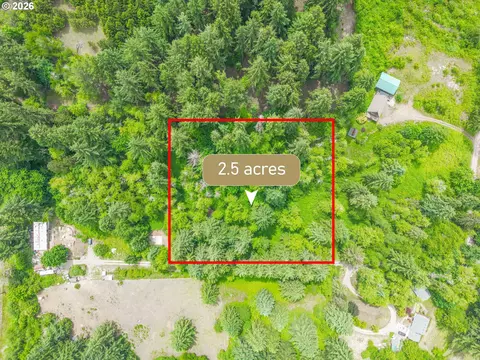 0 Parcel 257387000, La Center, WA 98629