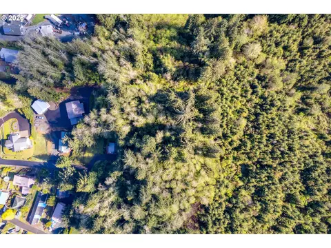 rector st, Wheeler, OR 97147 photo 6