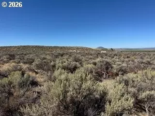 chinook rd, Christmas Valley, OR 97641