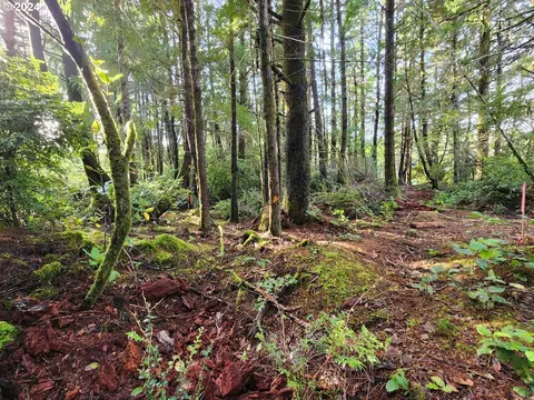 kreiger ln, Port Orford, OR 97465