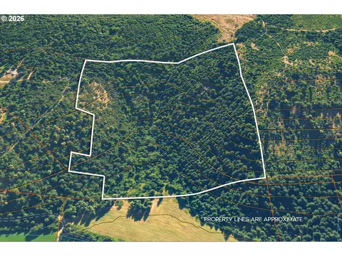 Stoller Rd, Trout Lake, WA 98650