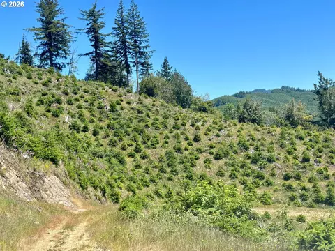 Larson Ln, North Bend, OR 97459 photo 22