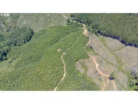 Larson Ln, North Bend, OR 97459 photo 9