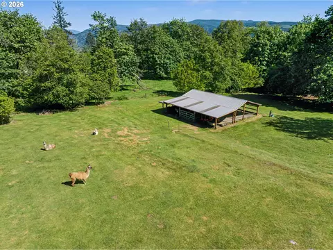 50995 SE Baty Rd, Sandy, OR 97055 photo 42