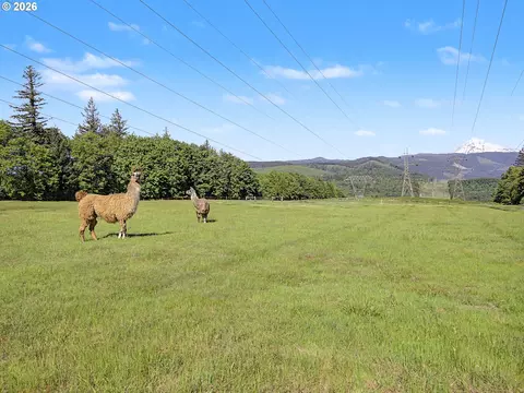 50995 SE Baty Rd, Sandy, OR 97055 photo 44