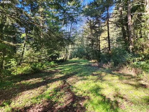 Eighty Acres Rd, Gold Beach, OR 97444