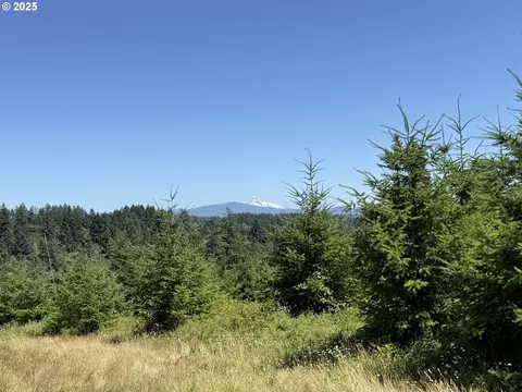 0 NE 277th Ave, Washougal, WA 98671