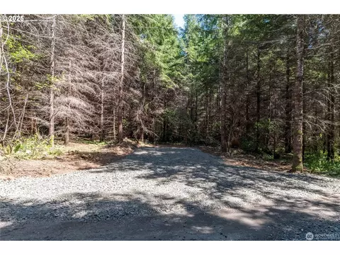 Orion, Longview, WA 98632