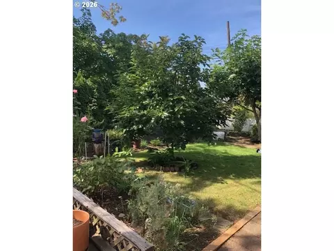Exterior - 1125 58th St #8, Springfield, OR 97478 photo 7 of 9