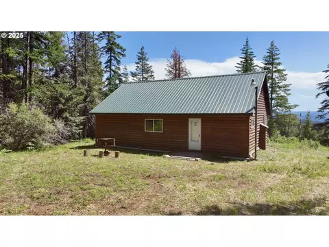 78248 Mcintyre Rd, Weston, OR 97886