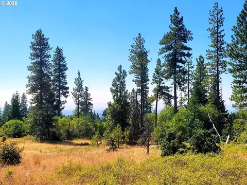 3 Simcoe Mtn Rsrv, Goldendale, WA 98620