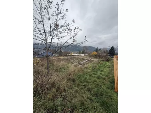 Mona St, Myrtle Creek, OR 97457
