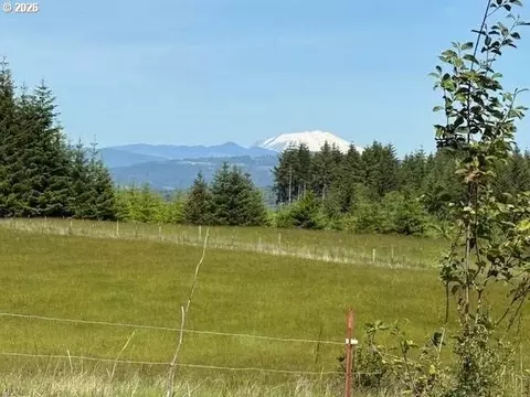65748 Meissner Rd, Deer Island, OR 97054