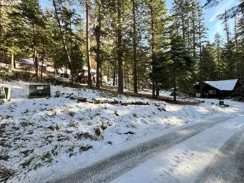 Forest Dell Ave, Wallowa Lake, OR 97846