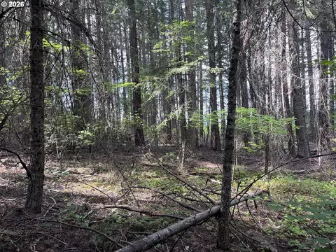 00 Winchester, Appleton, WA 98602 photo 5
