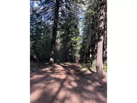 00 Winchester, Appleton, WA 98602 photo 11