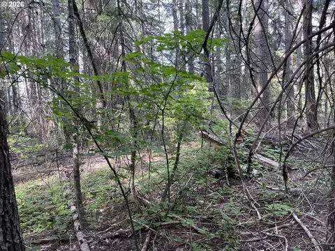 00 Winchester, Appleton, WA 98602 photo 7