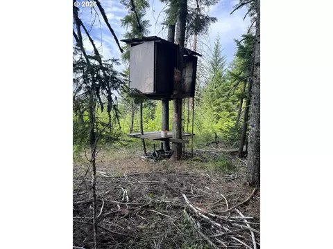 00 Winchester, Appleton, WA 98602 photo 2
