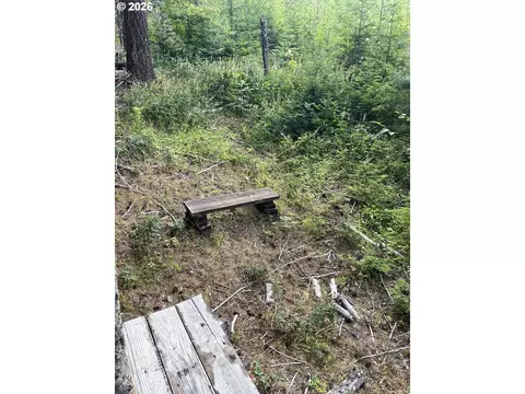 00 Winchester, Appleton, WA 98602 photo 10