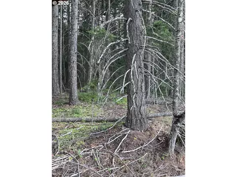 00 Winchester, Appleton, WA 98602 photo 12