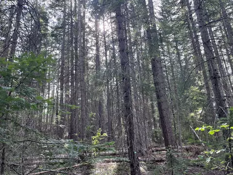 00 Winchester, Appleton, WA 98602 photo 8