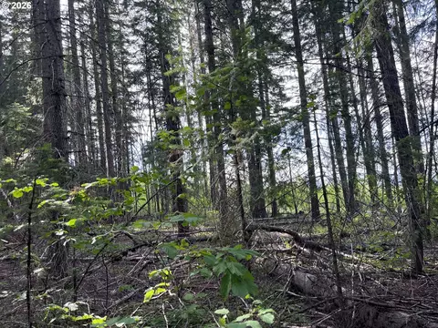 00 Winchester, Appleton, WA 98602 photo 9