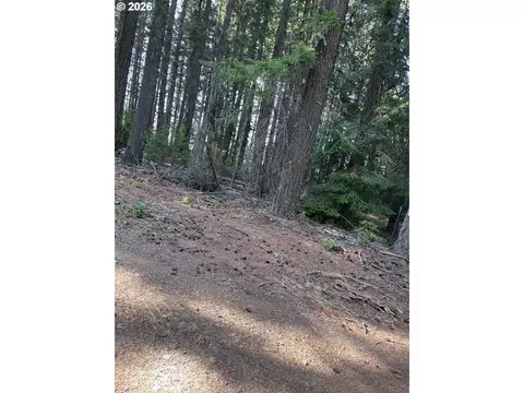 00 Winchester, Appleton, WA 98602 photo 6